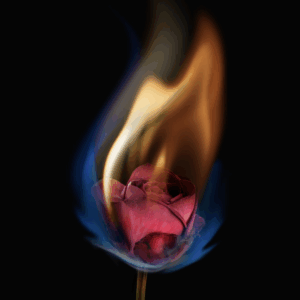 Feu libéré - sortir du sacrifice