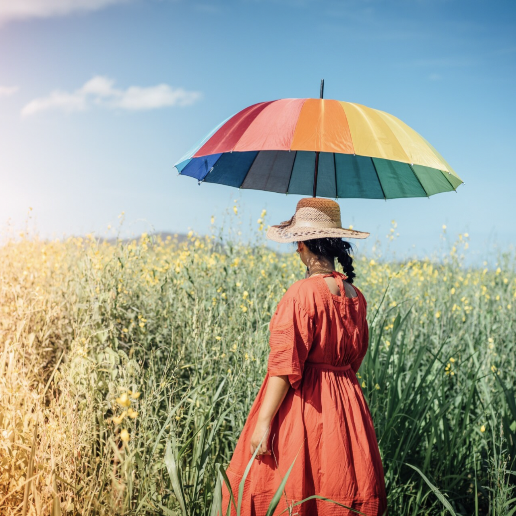 Sécurité intérieure