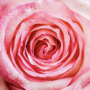 Sexualité consciente